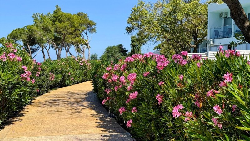 Ninos Grand Beach Hotel & Resort Lefkada-sziget
