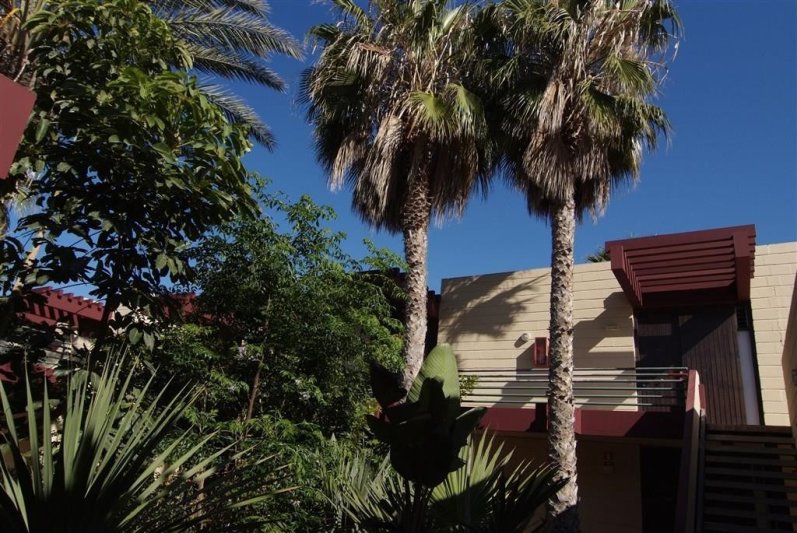 Tenerife utazás Palia Don Pedro