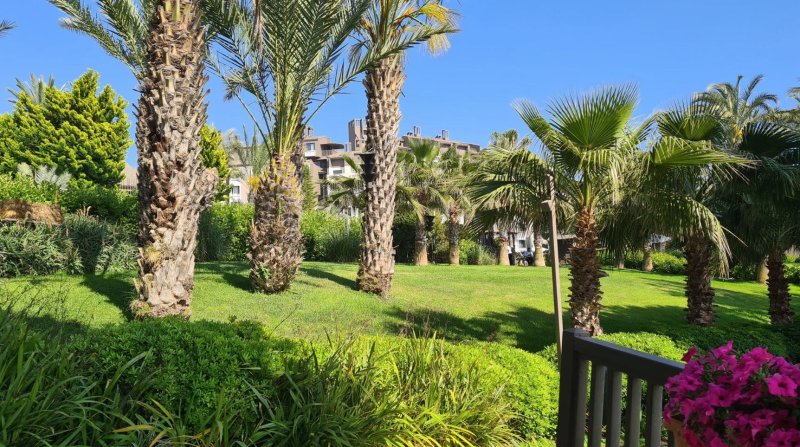 Side utazás Paloma Perissia