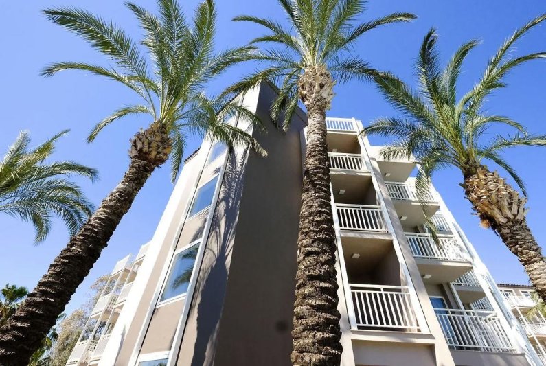 Side utazás Paloma Perissia