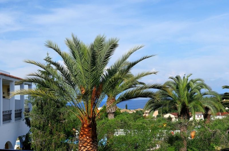 Korfu utazás Paradise Hotel Corfu