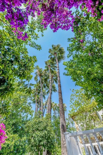 Ciprus utazás Riverside Garden Resort