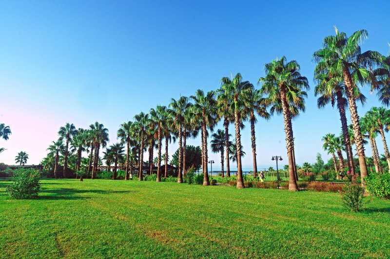 Side utazás Royal Atlantis Beach