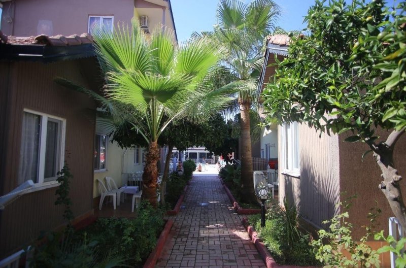 Side utazás Sayanora