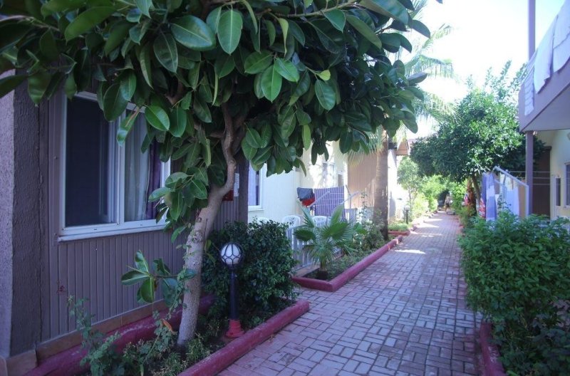 Side utazás Sayanora