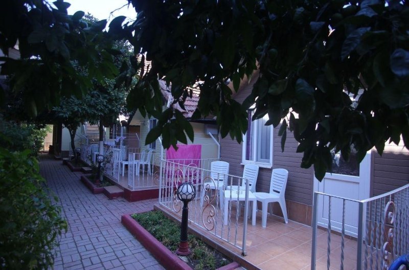 Side utazás Sayanora