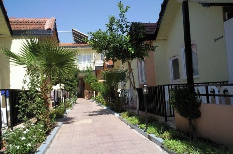 Side utazás Sayanora