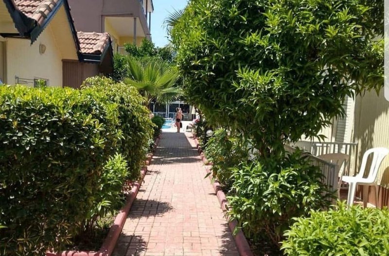 Side utazás Sayanora