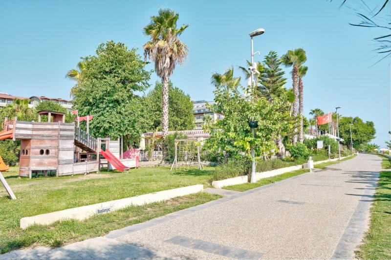 Side utazás Seaden Corolla