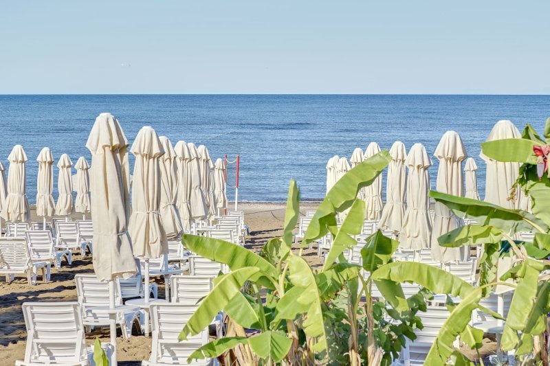 Side utazás Seaden Corolla