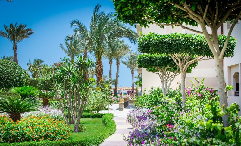 Hurghada utazás Sea Gull Resort