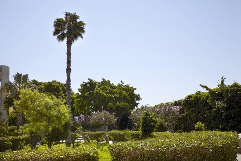 Rodosz Ialyssos utazás Sunshine Rhodes