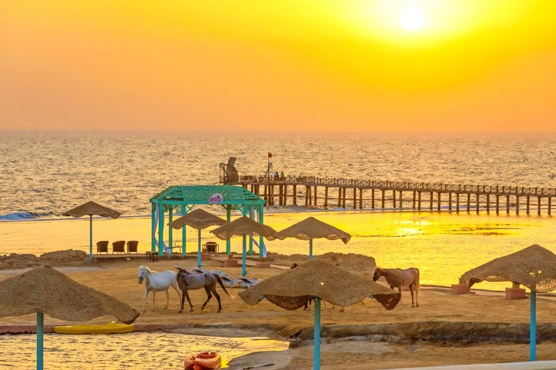 Marsa Alam utazás Swissôtel Resort ex.: Radisson Blu Quseir