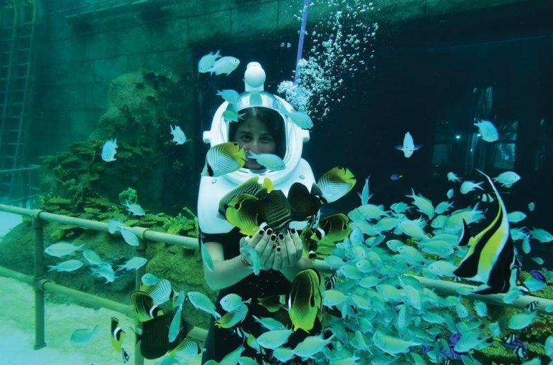 Belek utazás The Land Of Legends Kingdom