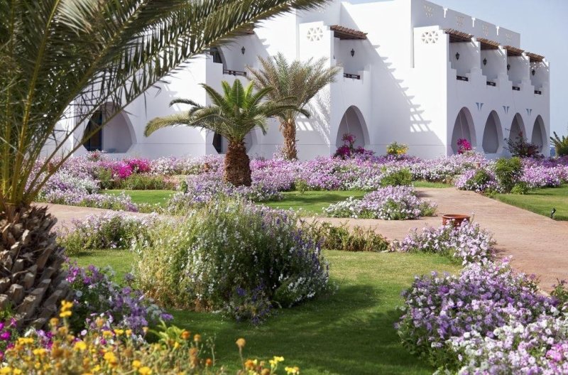 Marsa Alam utazás Three Corners Equinox Beach Resort