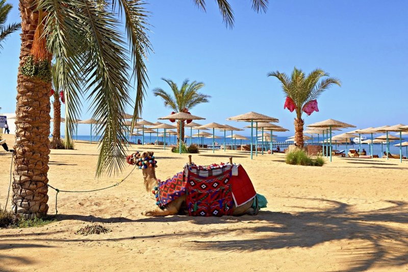 Hurghada utazás Three Corners Sunny Beach