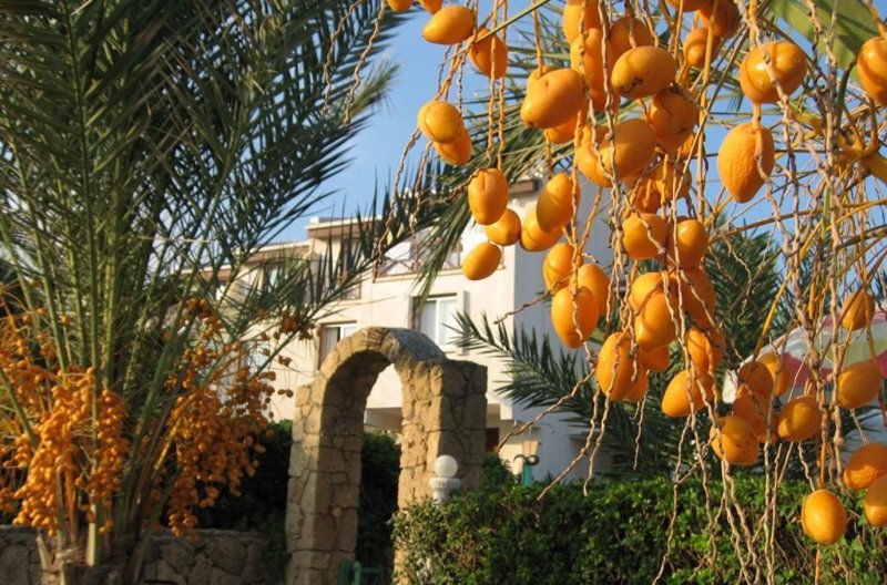 Észak-Ciprus utazás Topset Hotel