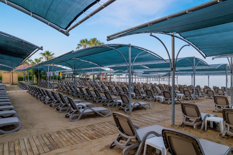 Trendy Palm Beach Side