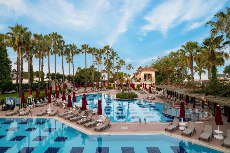 Trendy Palm Beach Side