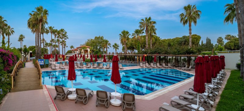 Trendy Palm Beach Side