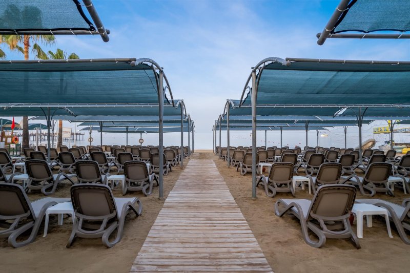 Trendy Palm Beach Side