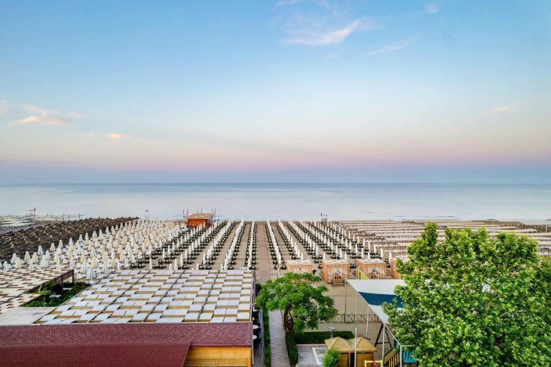 Trendy Verbena Beach Side