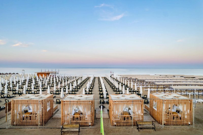 Trendy Verbena Beach Side