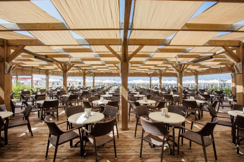 Trendy Verbena Beach Side