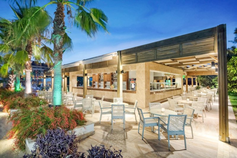 Trendy Verbena Beach Side