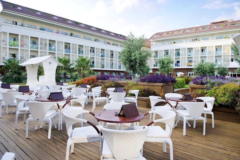 Trendy Verbena Beach Side