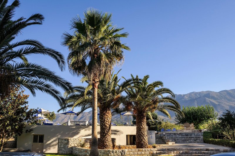 Kréta Georgioupolis utazás Vantaris Garden