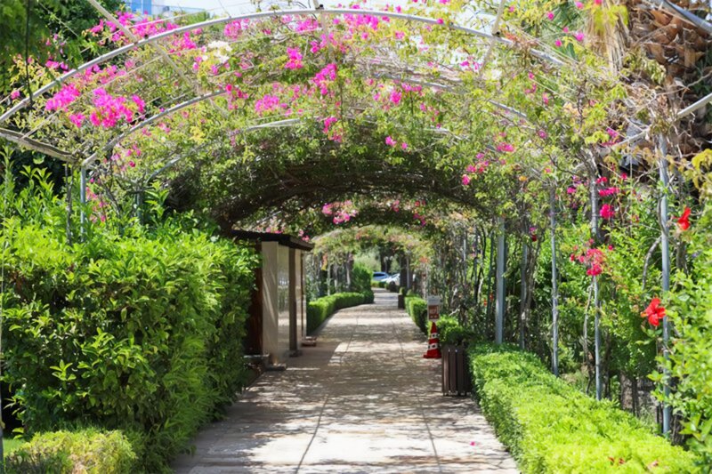 Bodrum utazás Venosa Beach Resort