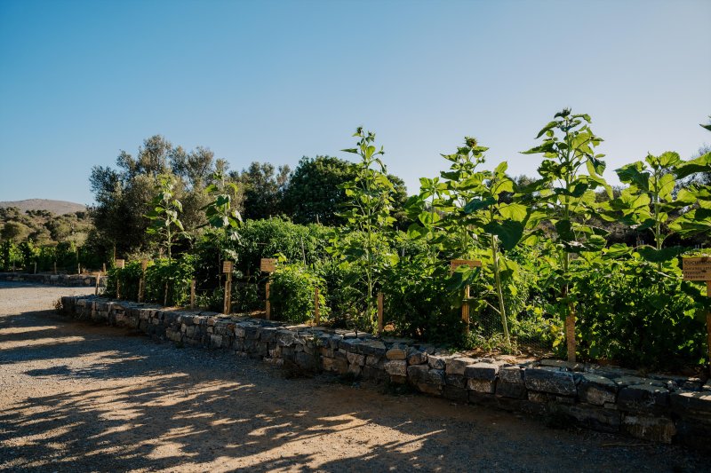 Kelet-Kréta utazás Village Heights Resort