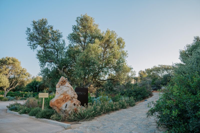 Kelet-Kréta utazás Village Heights Resort