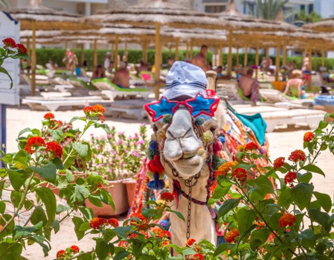 Hurghada utazás Seagull Beach Resort