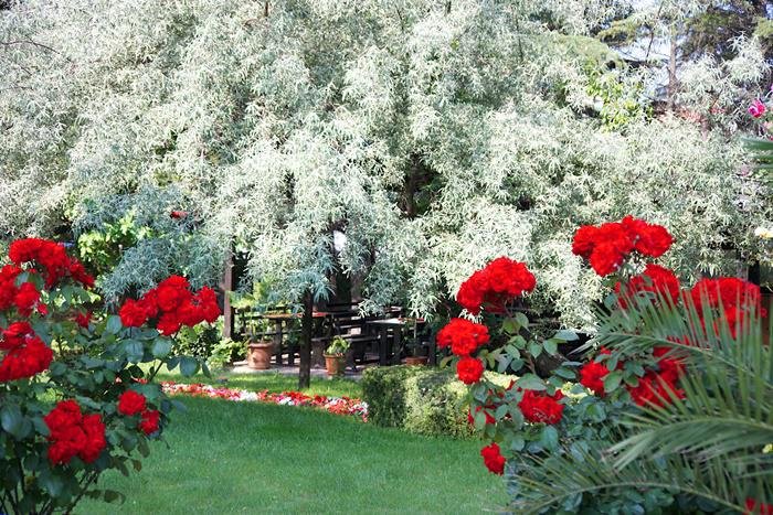 Napospart utazás Dunav Hotel Sunny Beach