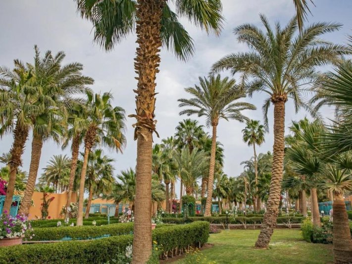 Hurghada utazás Giftun Azur