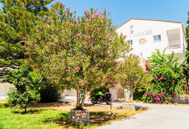 Zakynthos utazás Ikaros