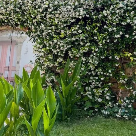 Antalya utazás Puding Marina Hotel