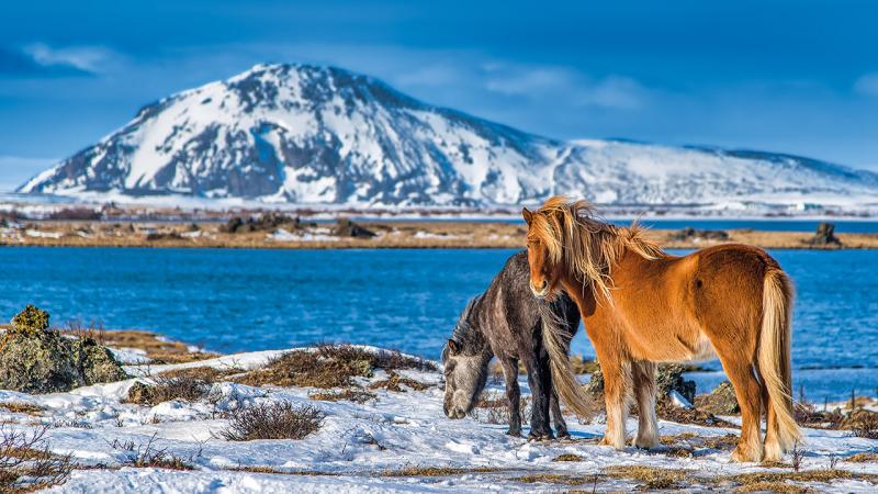 Mesés izlandi körutazás