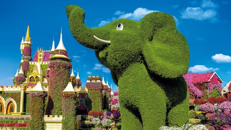 Abu Dhabi és Dubai körutazás utazás