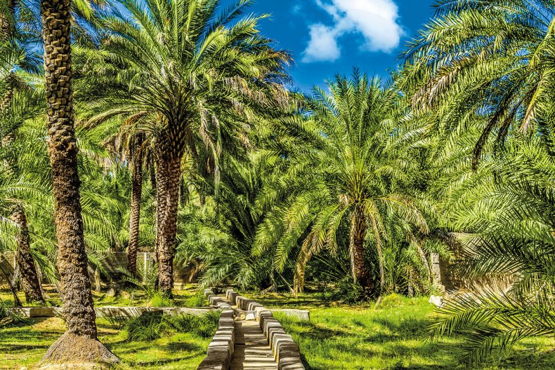 Emírségek és Omán Körutazás