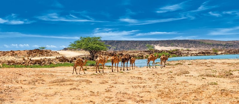 Emírségek és Omán Körutazás