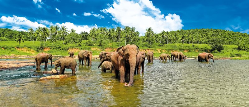 Srí Lanka-körutazás Tengerparti Hosszabbítással