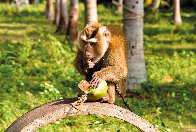Thaiföld Körutazás - Tengerparti Hosszabbítással