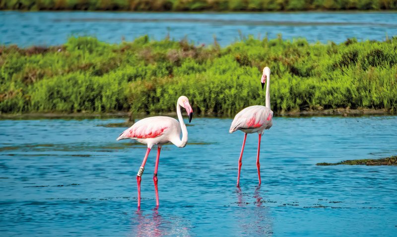 Csillagtúra Kelet-spanyolországban Costa Del Azahar Kincsei
