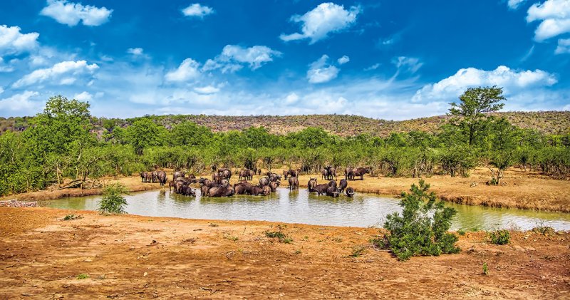 Dél - Afrika körutazás 12 Nap / 9 éj