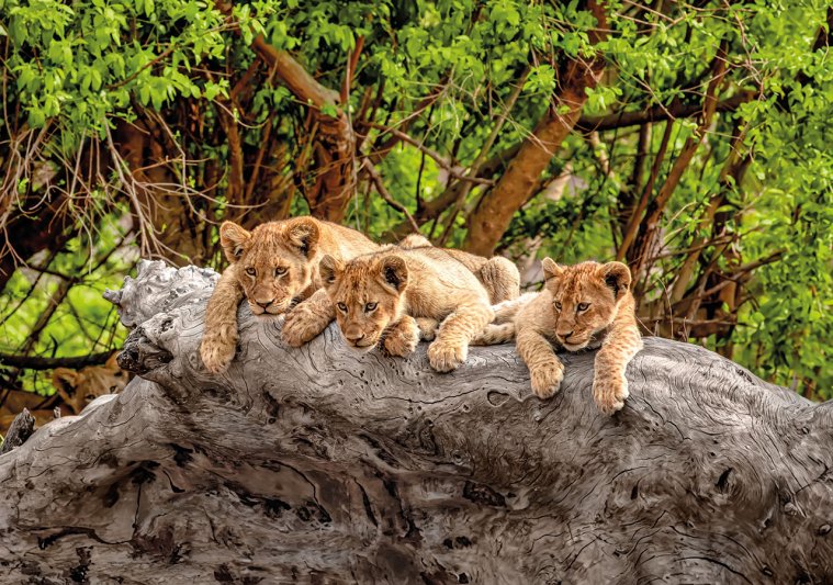 Dél-afrika Körutazás 12 Nap / 9 éj