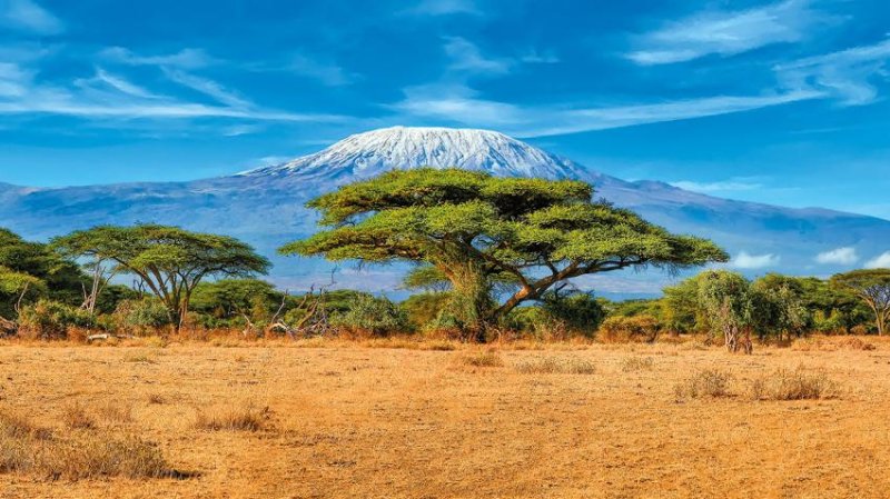 Kenya – Tanzánia Szafari Kalandtúra 14 Nap / 12 éj