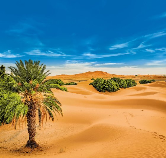 Marokkó Királyi Városai Körutazás 9 Nap / 7 éj